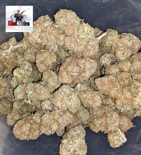 Buy Bubba Kush Strain Online