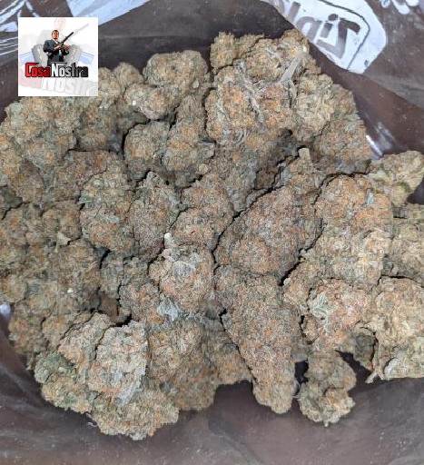 Buy Jack Herer Strain Online